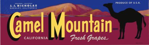 Camel Mountain